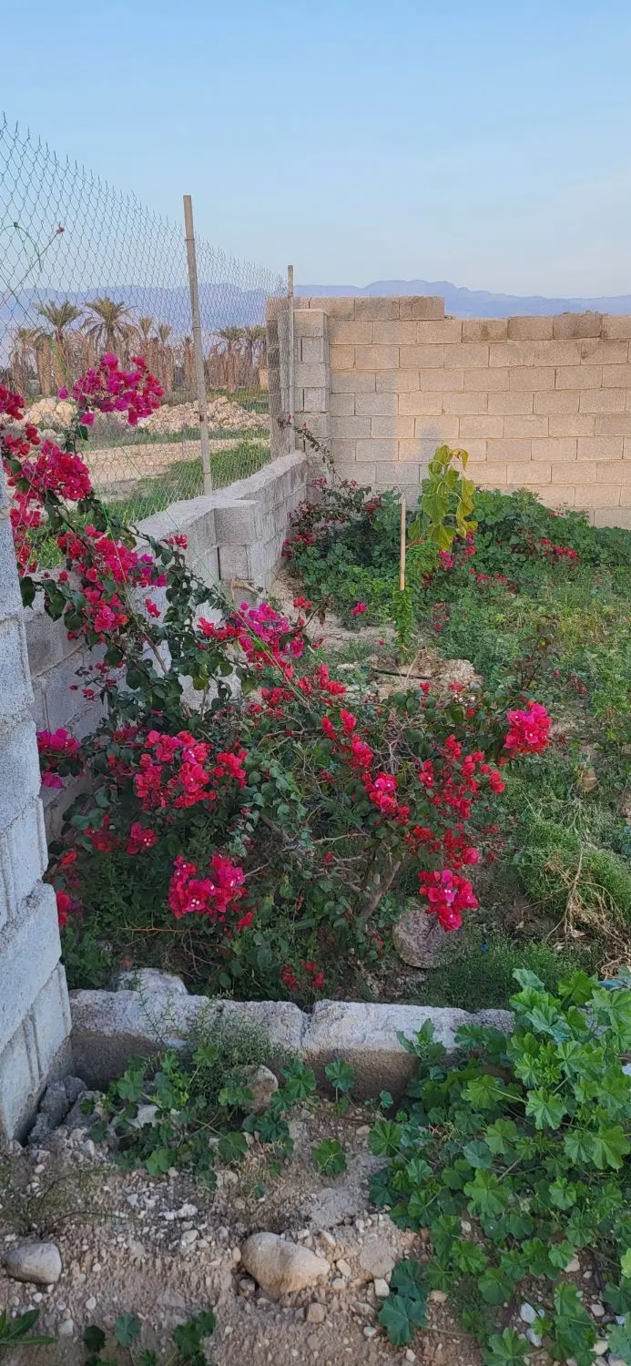 باغ شهری موقعیت عالی