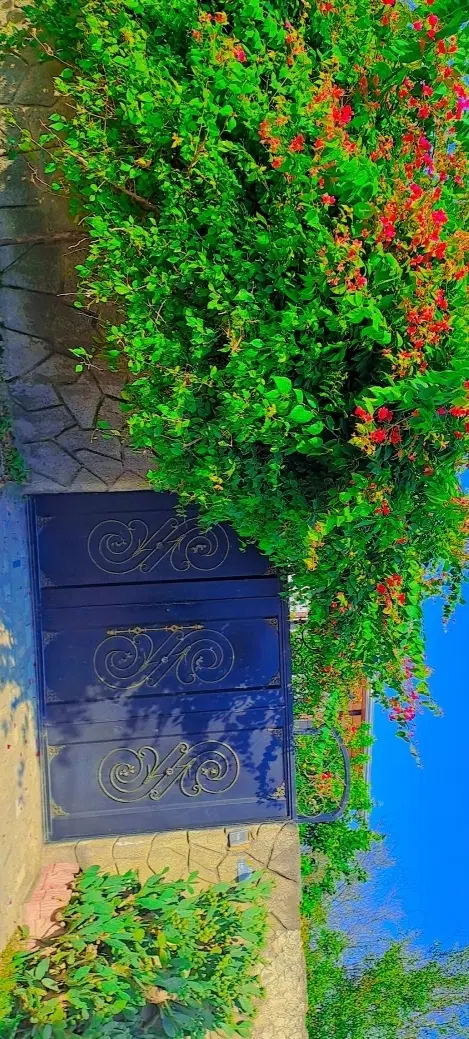 همخونه