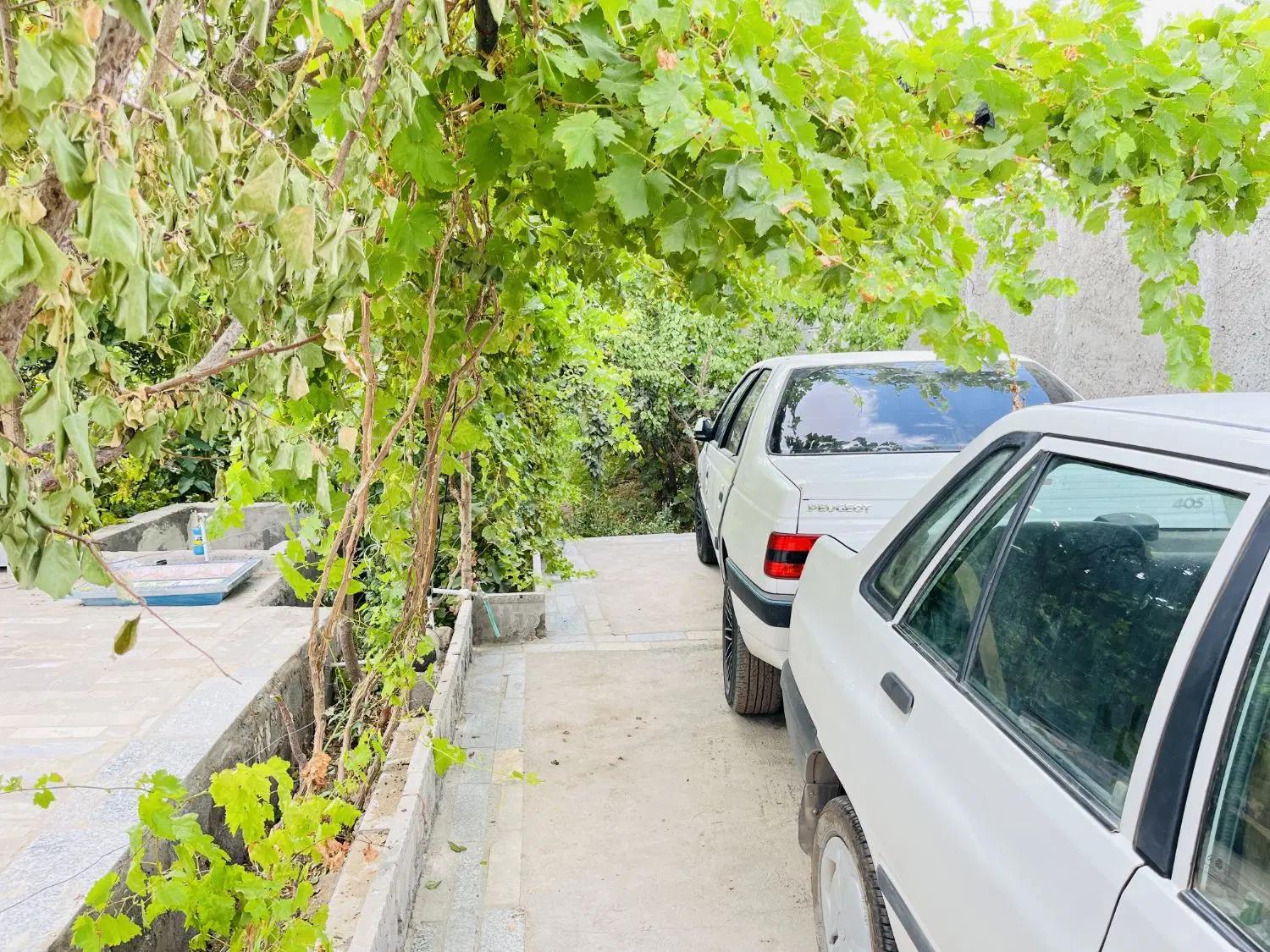 باغ ویلا شهربابک بنه یکه