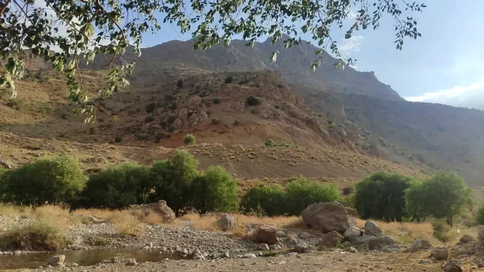 زمین مالکی گوشه