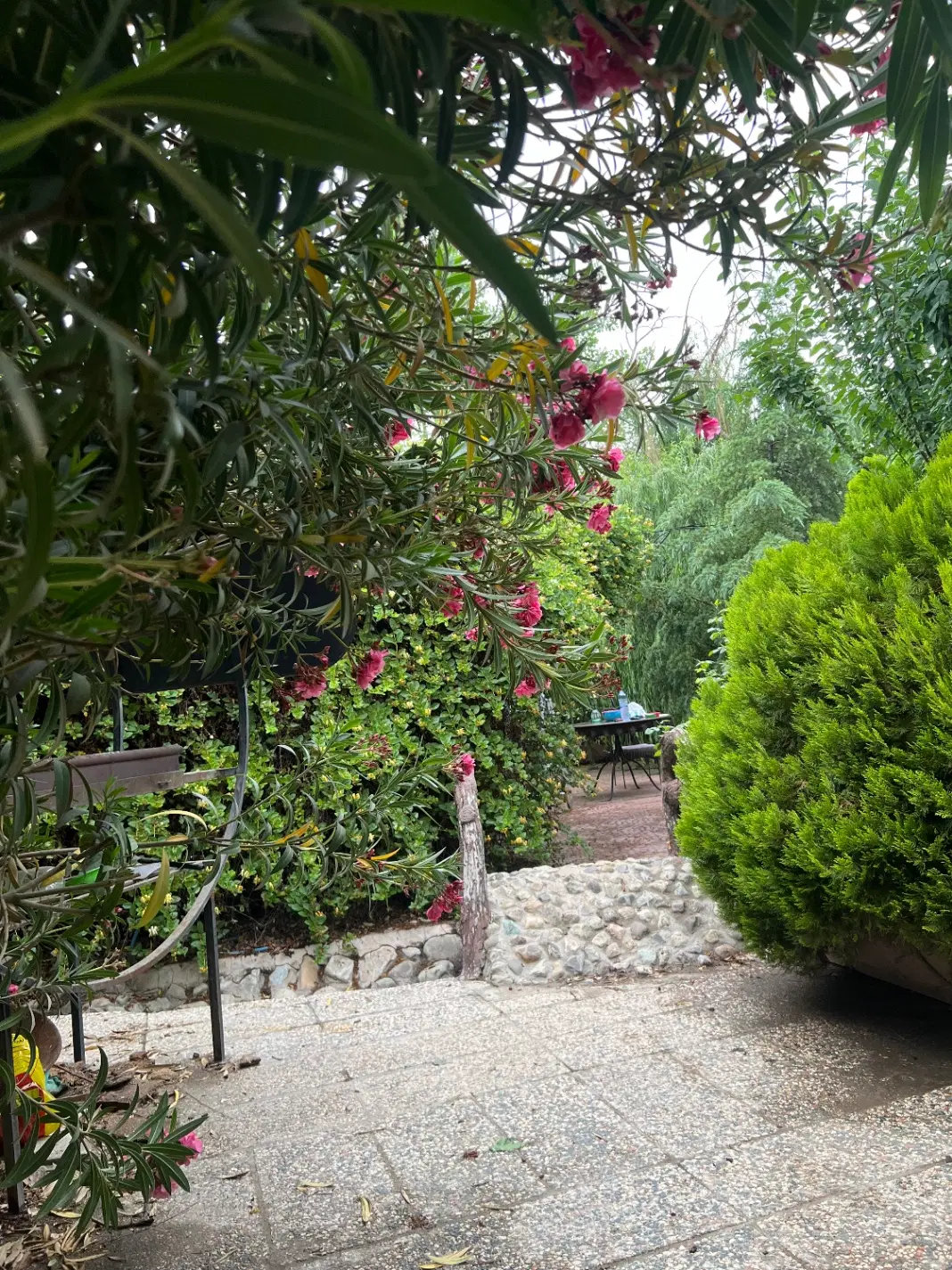باغ ویلا ۸۰۰ متر