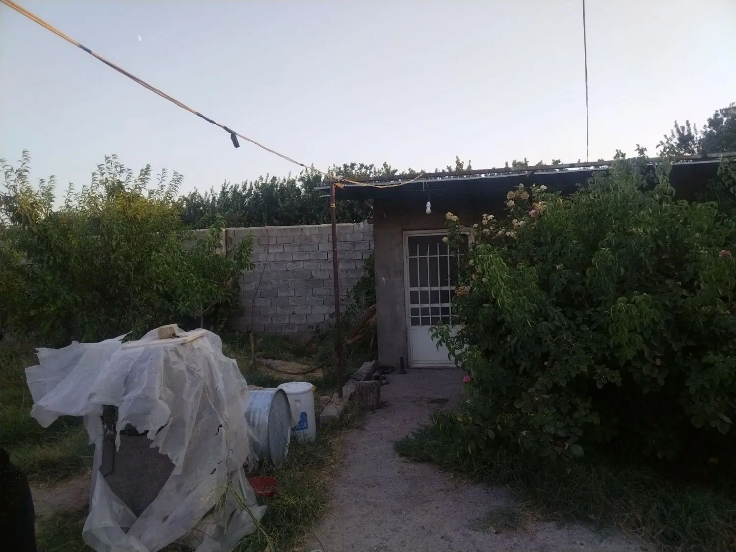فروش باغچه