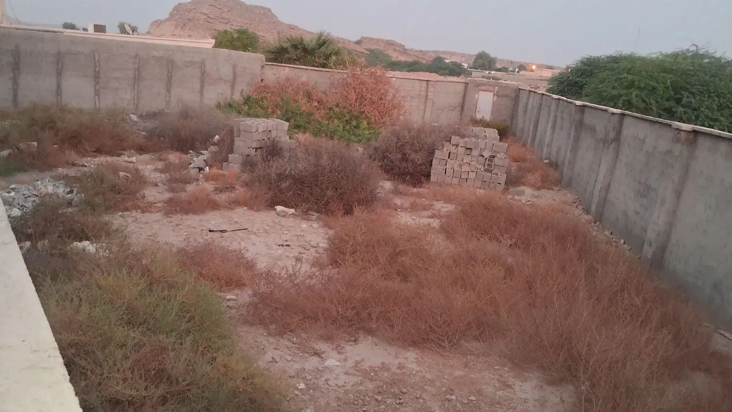 ۴۹۰ متر زمین ابشورک