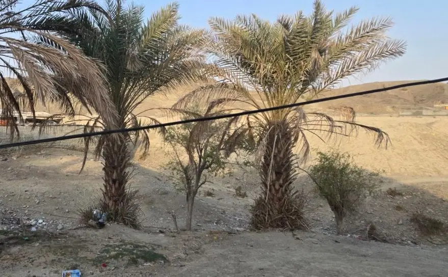 فروش زمین  کلینک