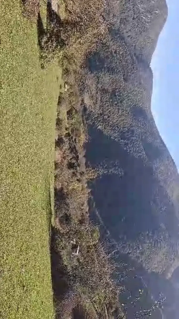 زمین روستای زیارت منطقه گرگیلو