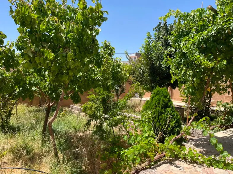 خونه سرباغ امام حسین ۲