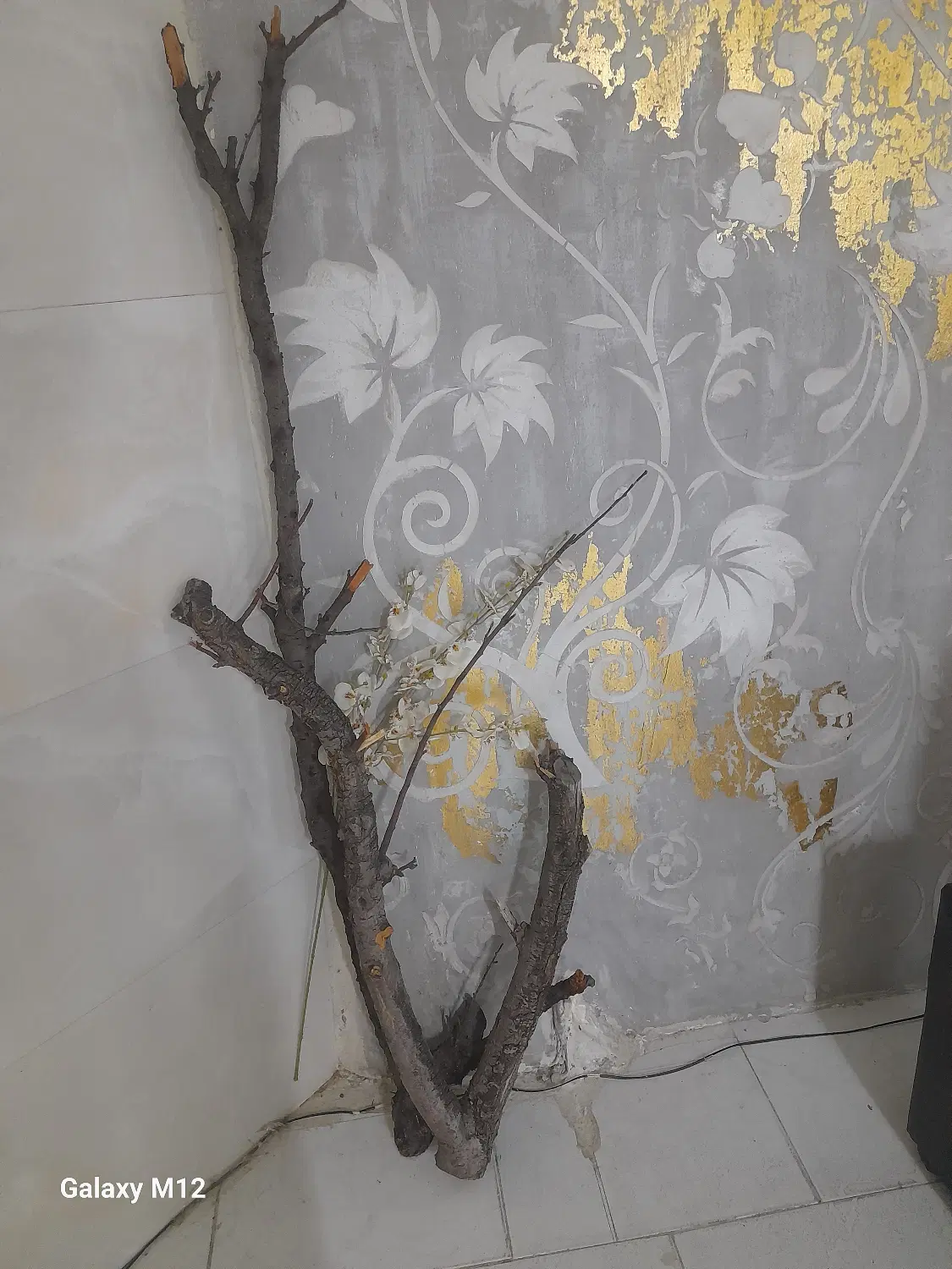 اجاره اتاق برای لاین آرایشگری