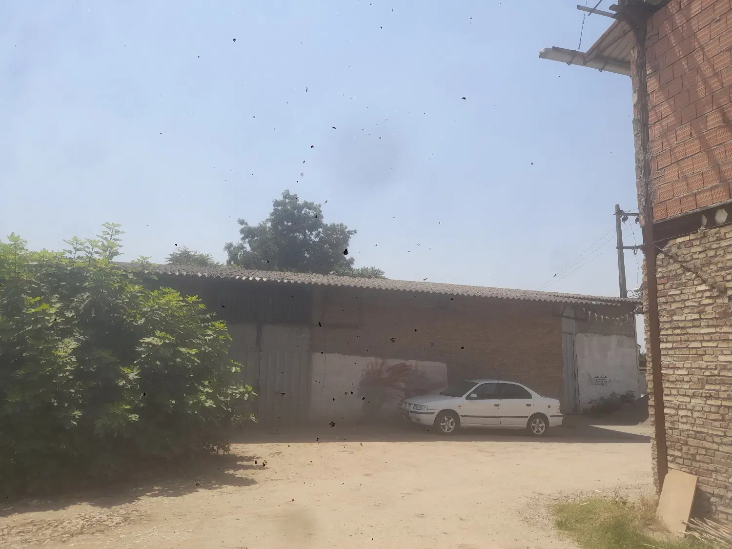 شالیکوبی سنتی