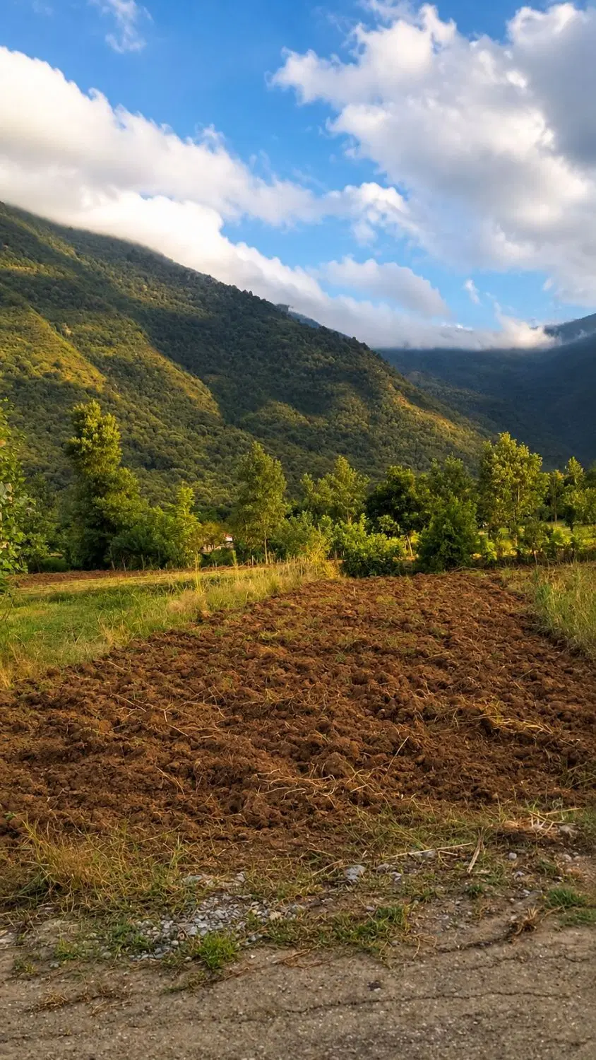 زمین کشاورزی