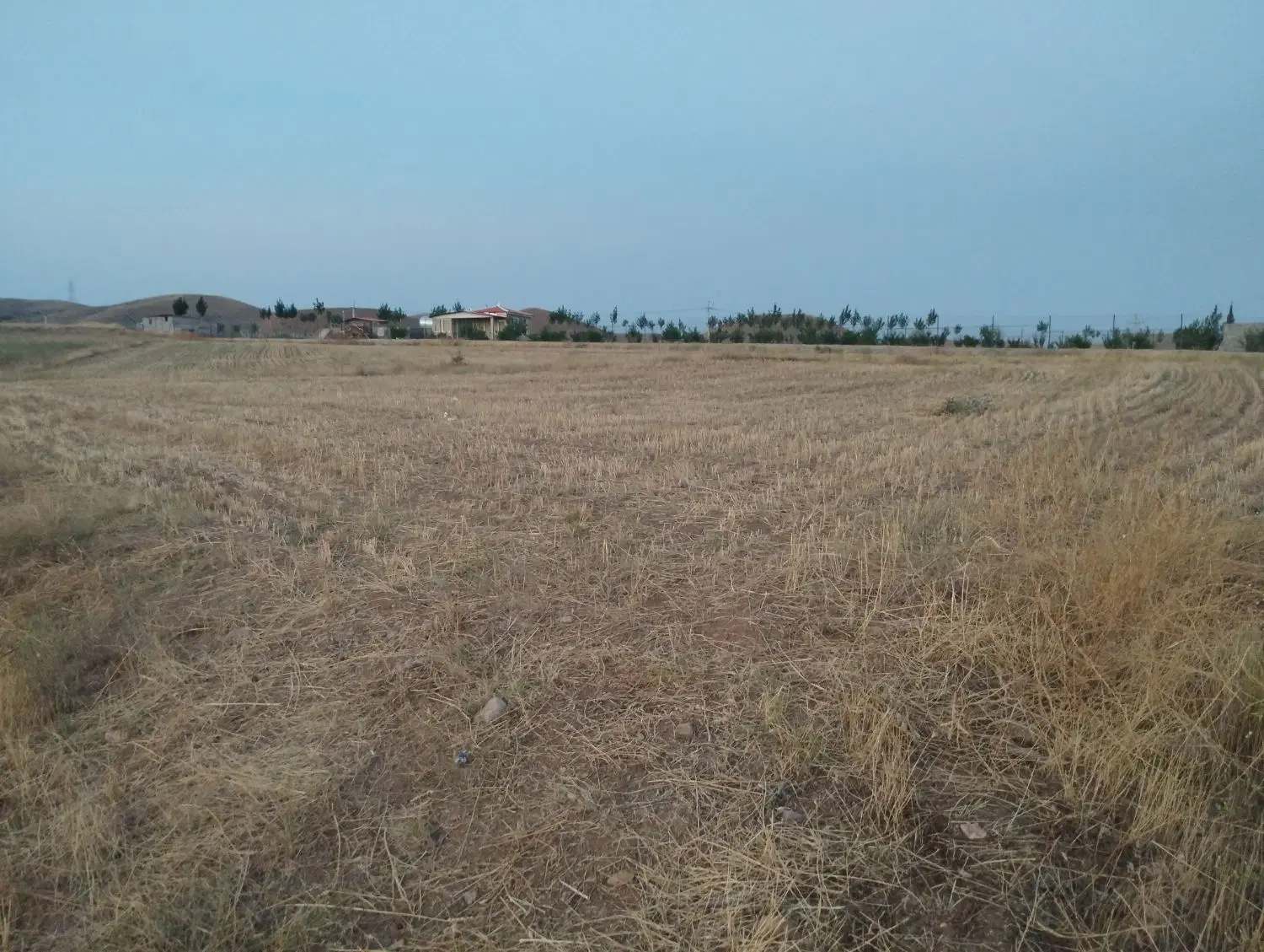 زمین زراعی