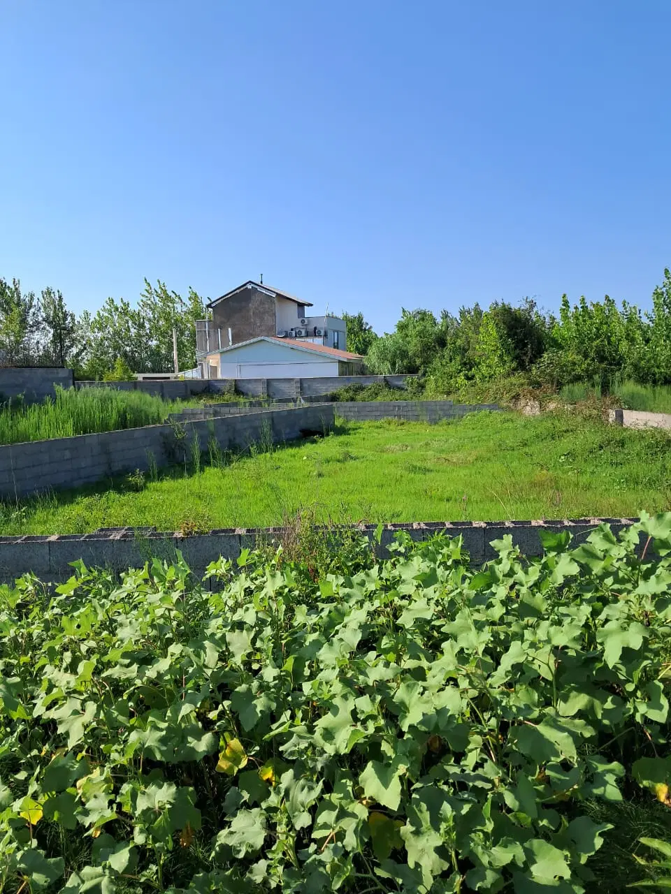 زمین مسکونی