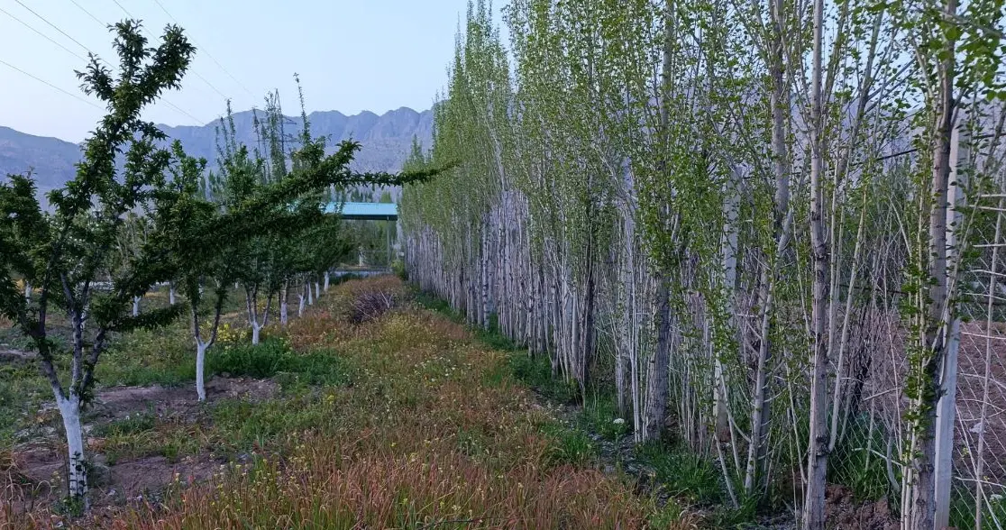 باغ عسگراباد  سراب چنگایی  ۱_۱۶۷ متر شیک