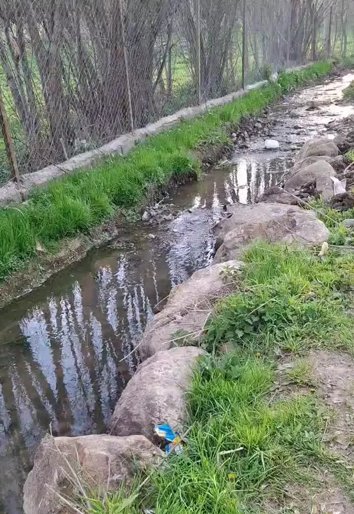 فروش باغ ۱۶۰۰ متری در روستای تورستی  کنزق