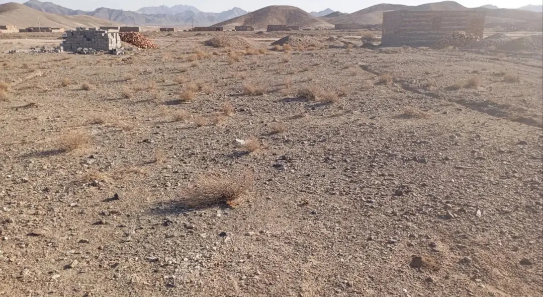 زمین کالیکه