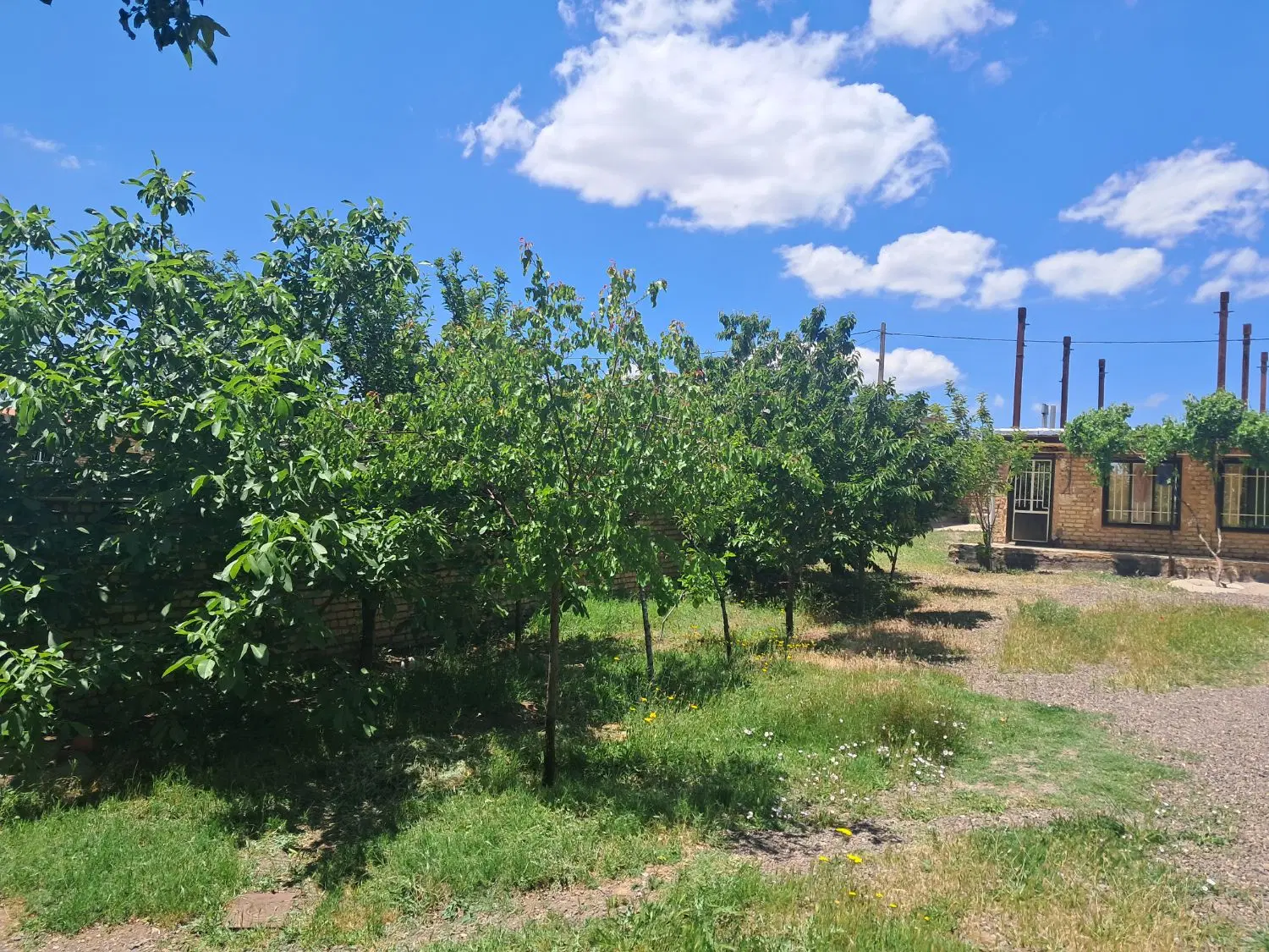 خانه ویلایی. ۷۰۰متری