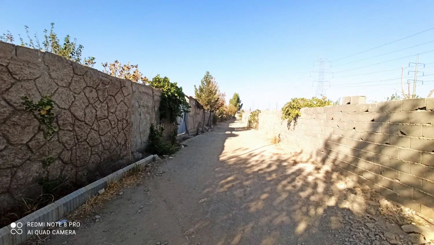 باغچه ۳۲۰ متری