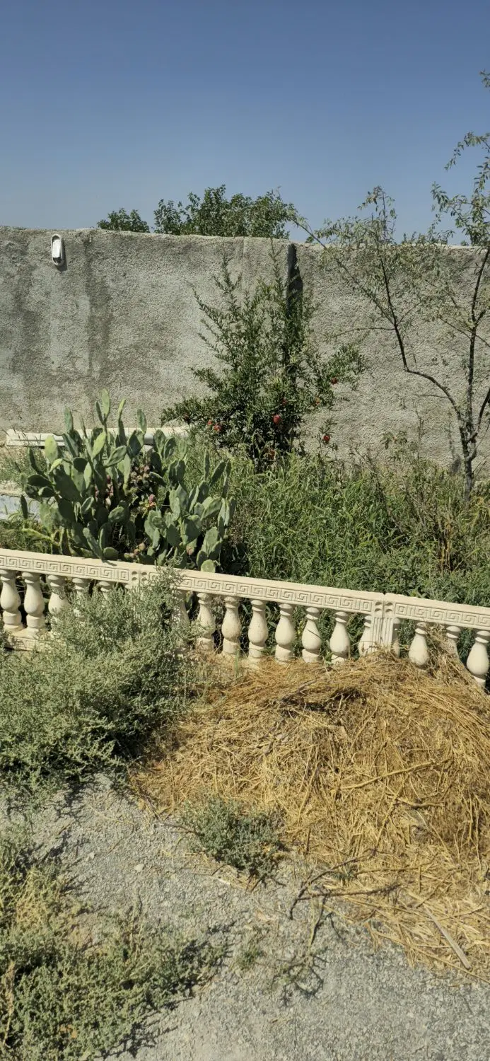 باغچه دهشاد پایین