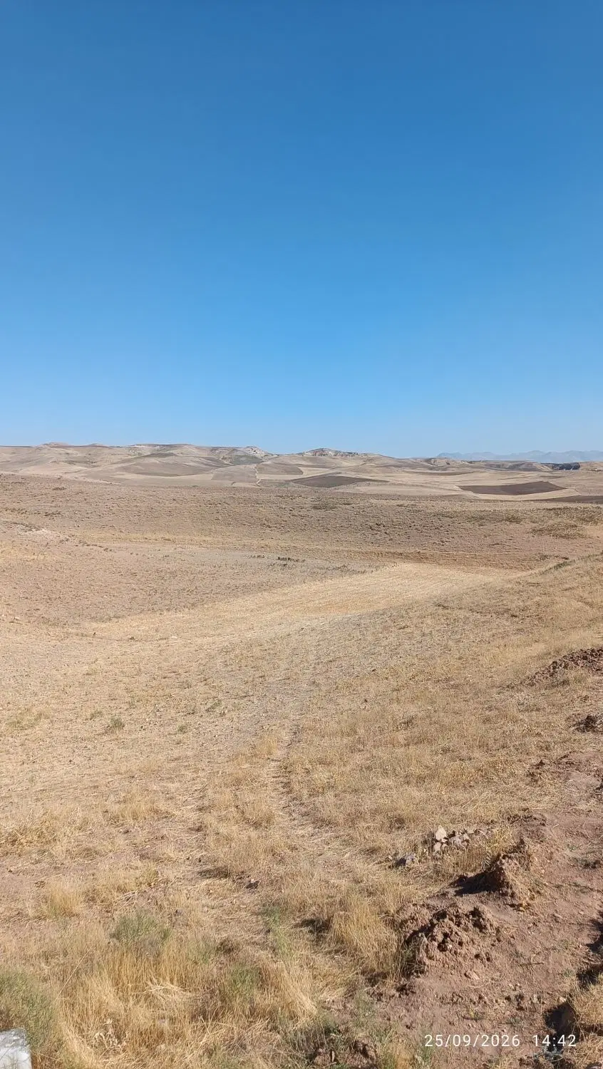 زمین زراعی