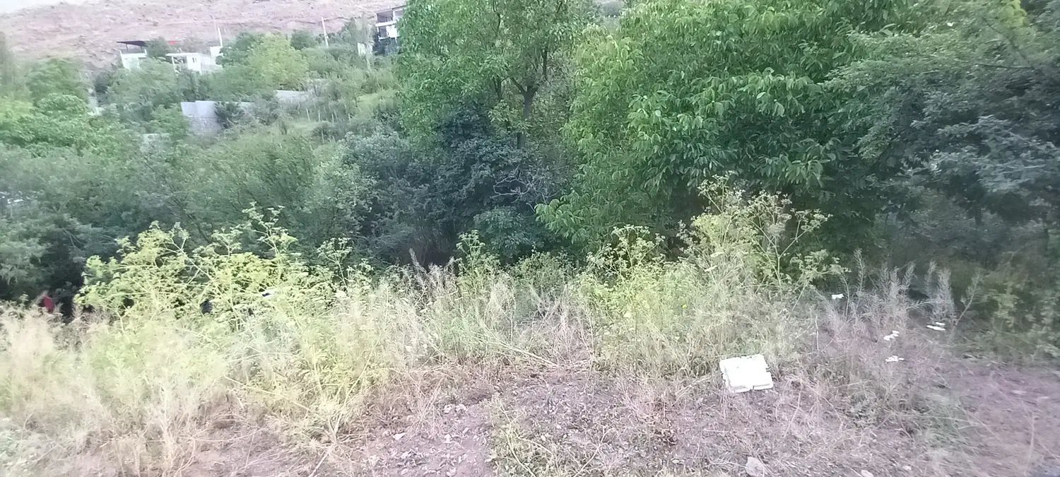 باغ