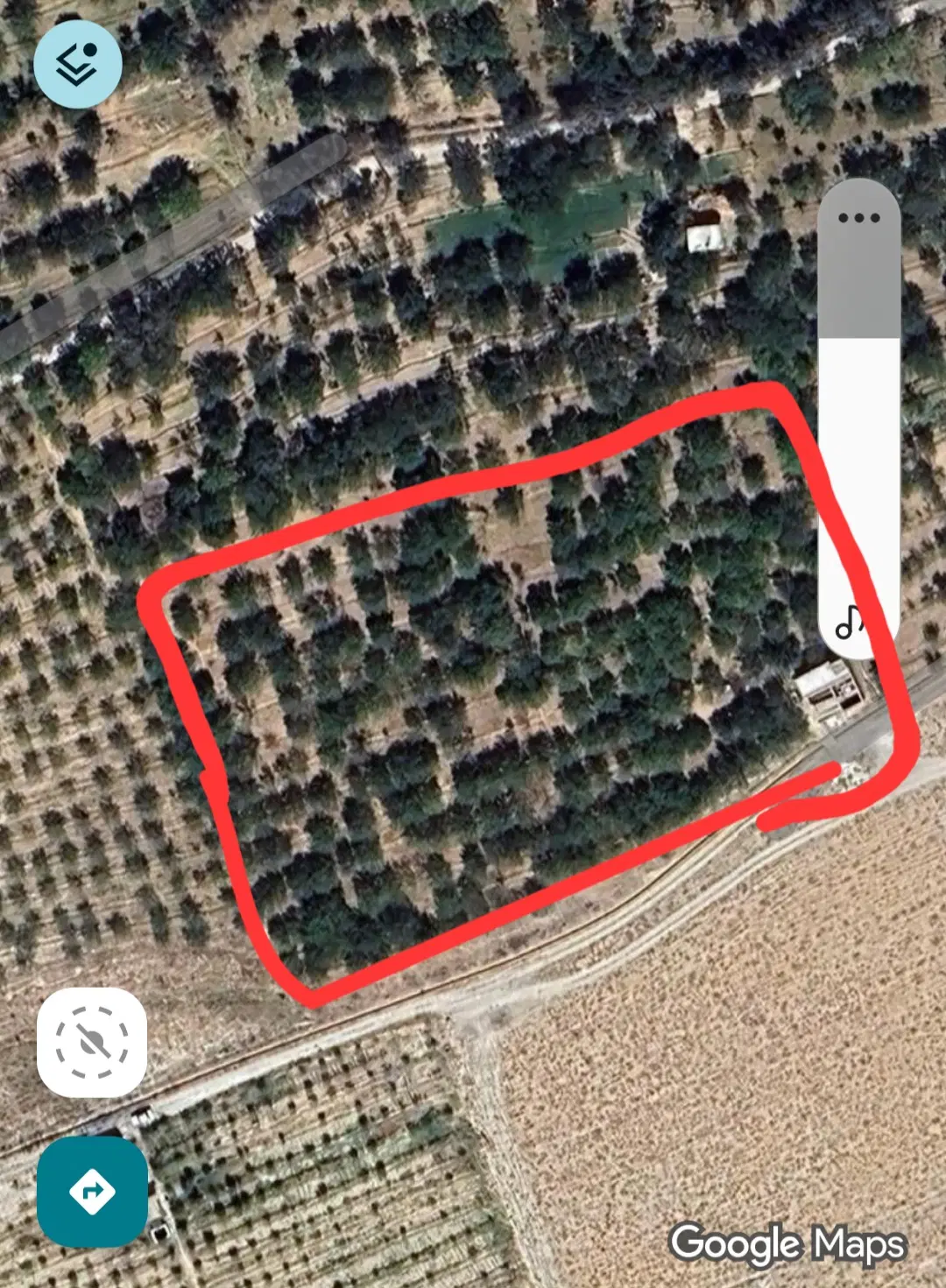 ملک کشاورزی باغ زردآلو