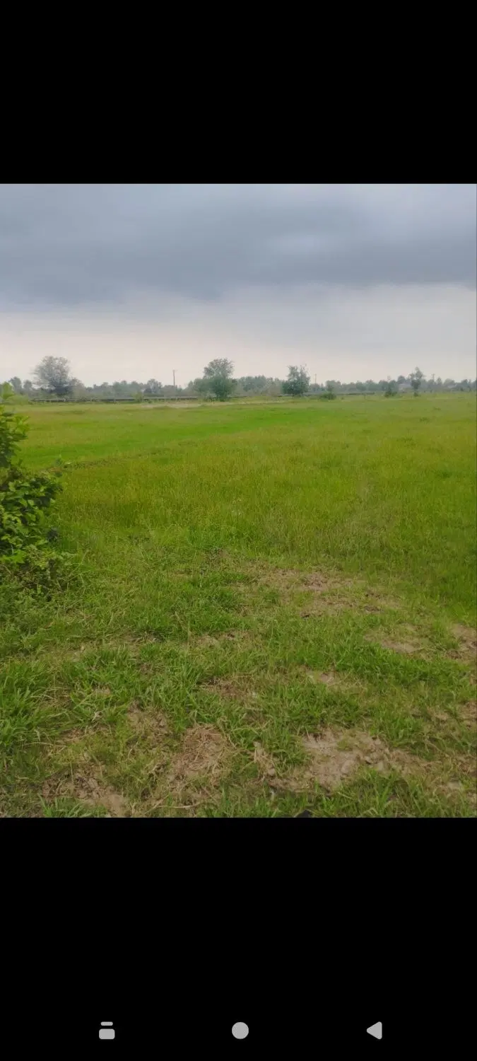زمین ۶۵۰۰ متری طرح هادی