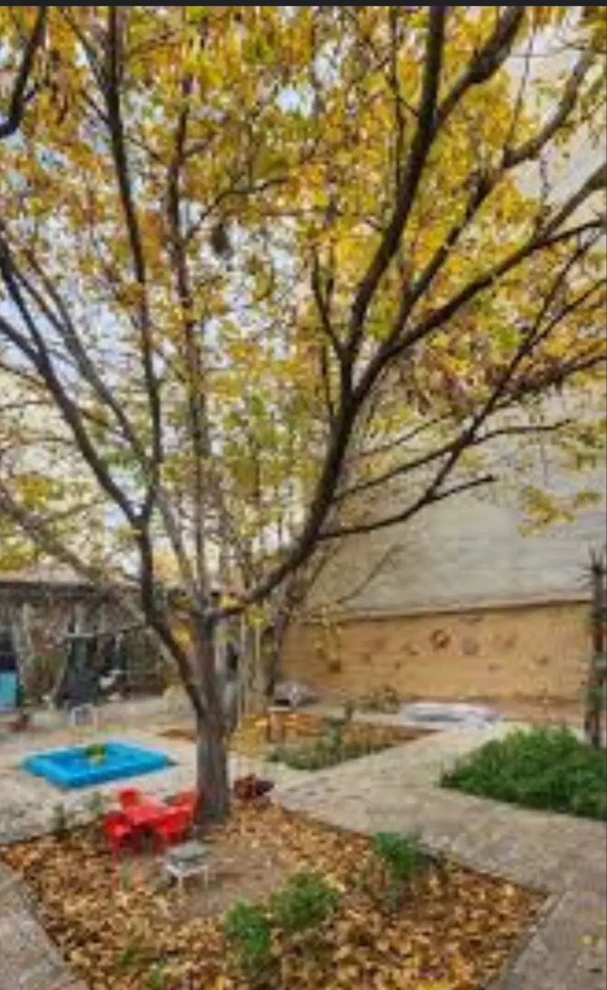 فروش زمین ۸ قصب با سند عادی