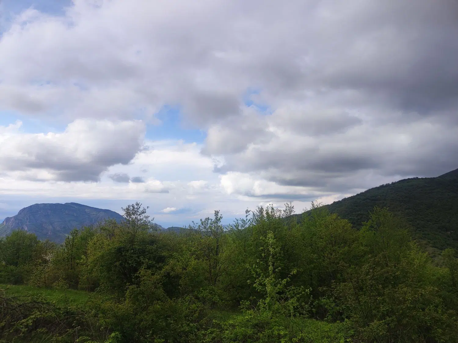 ملک باغی در روستای آونلیق به فروش می رسد