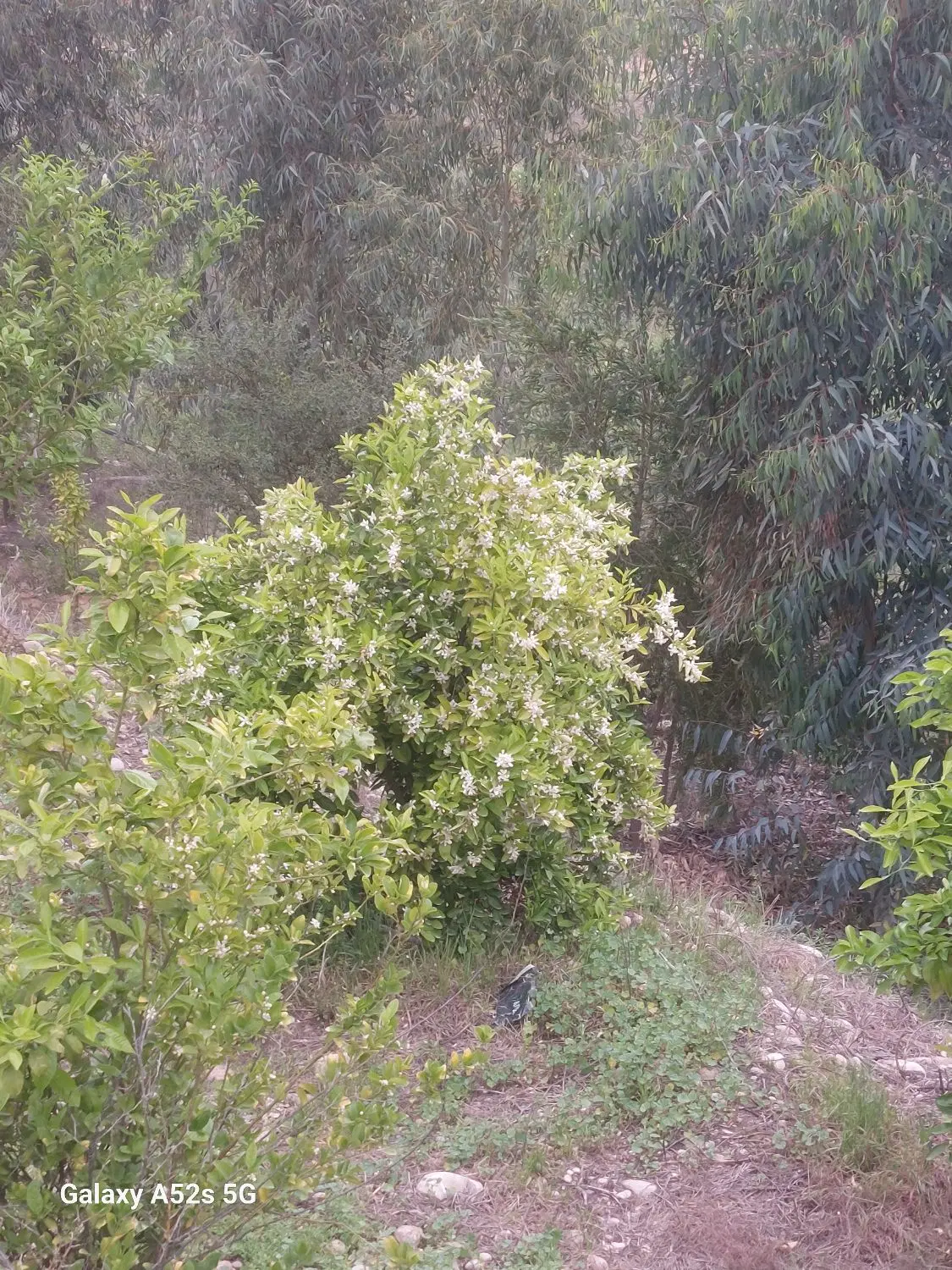مخصوص سرمایه گذاری