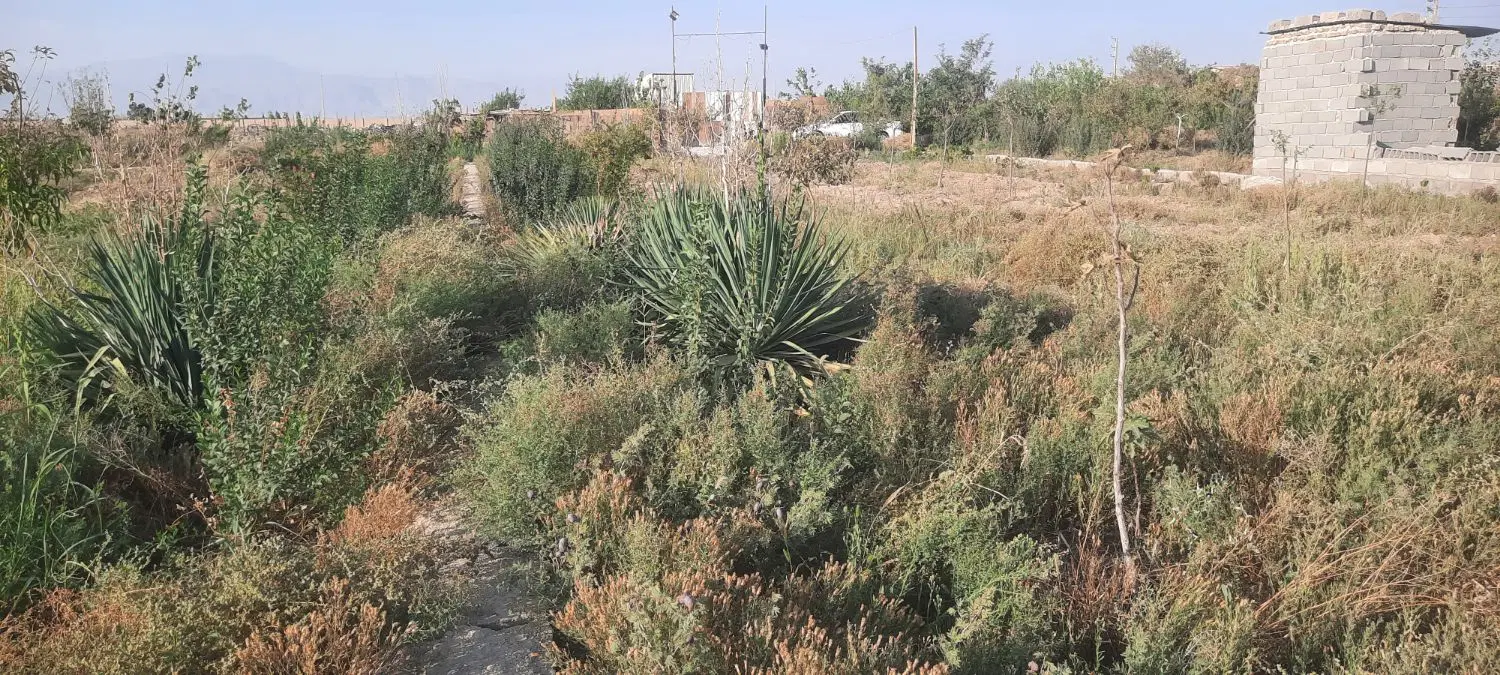 زمین ۴۷۶متری چیچکلو