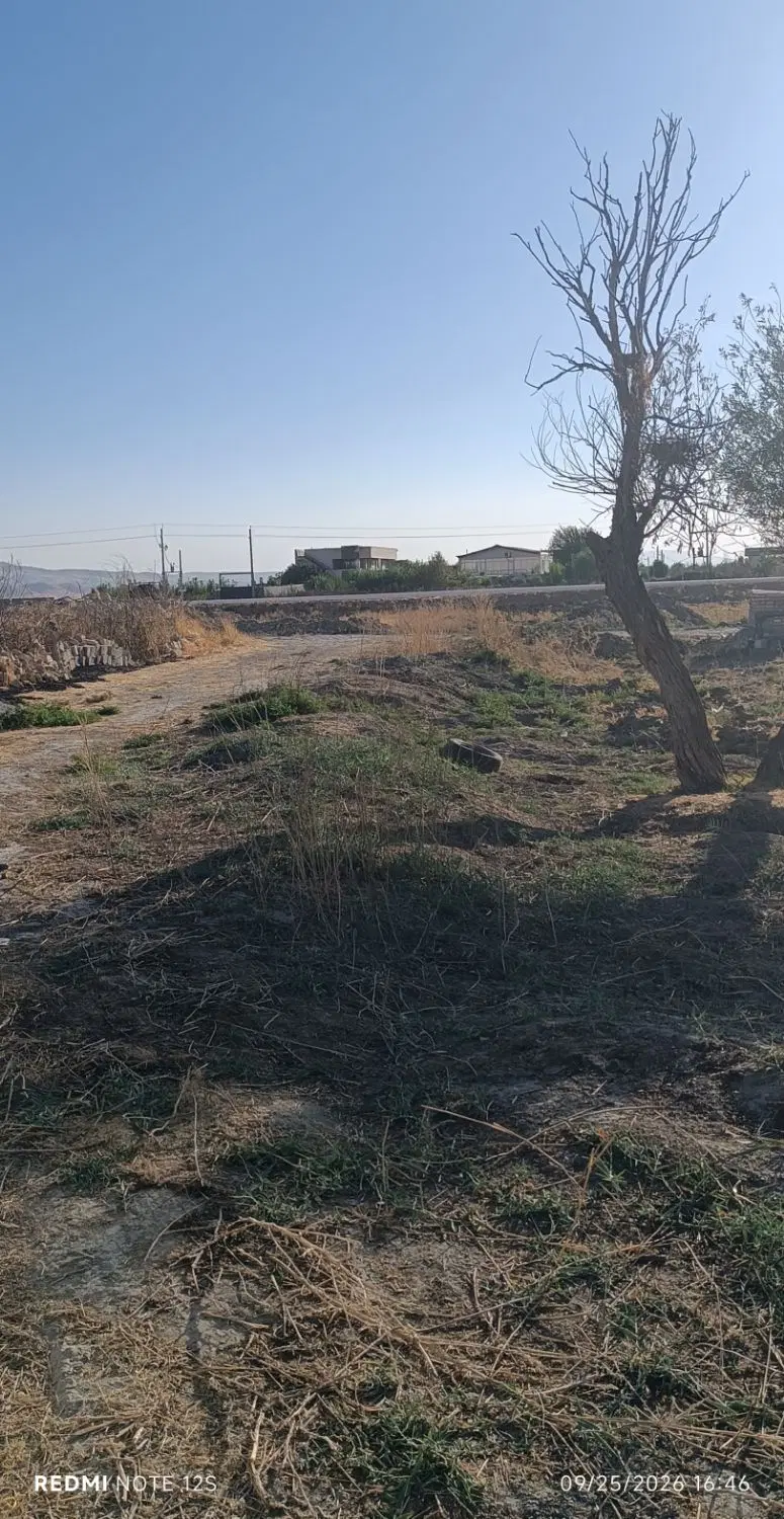 زمین کشاورزی ۷ هزار متر