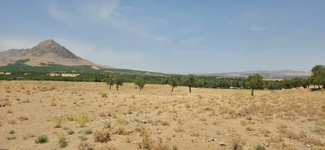 زمین مسکونی در بهترین موقعیت سامان