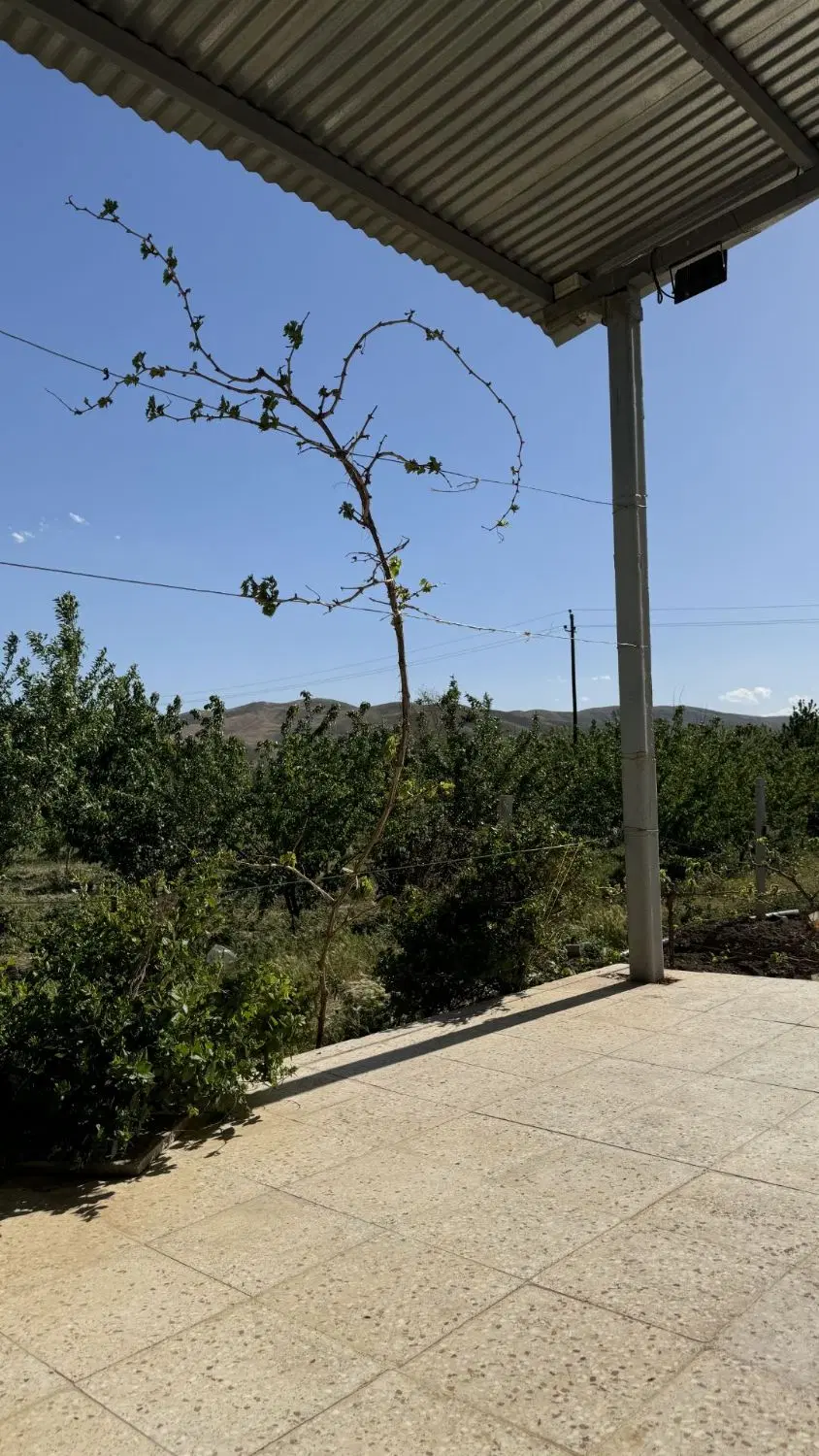 باغ انگوری و میوه