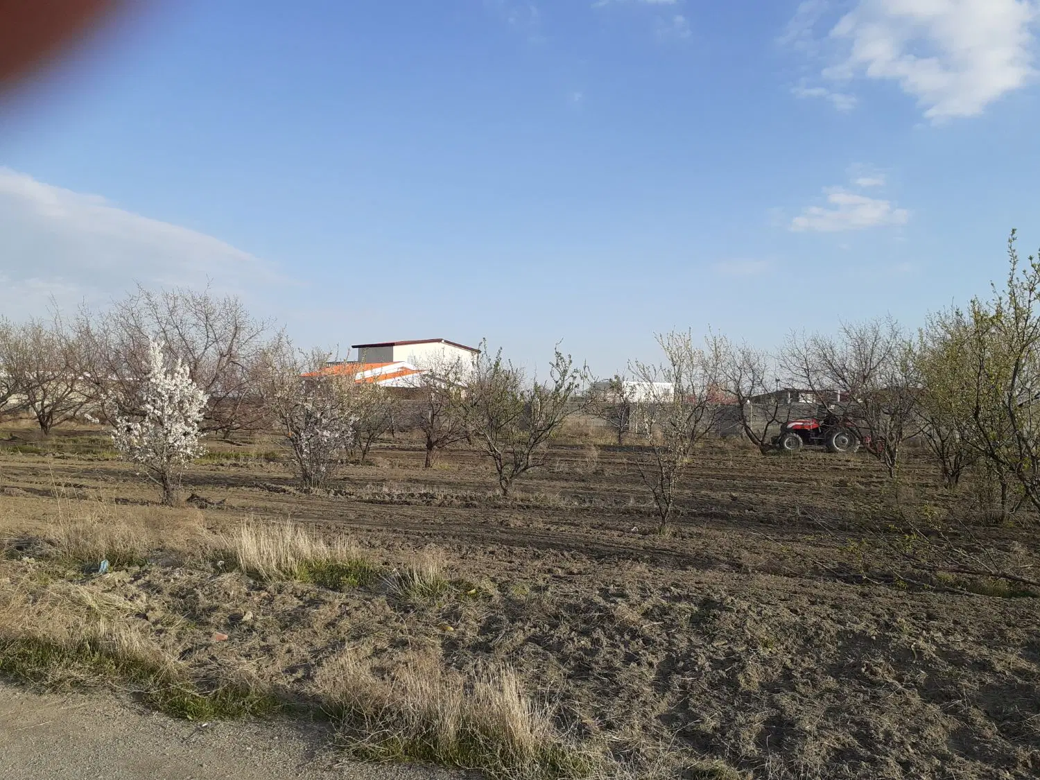 فروش  قطعه باغچه روستای ایگدیر
