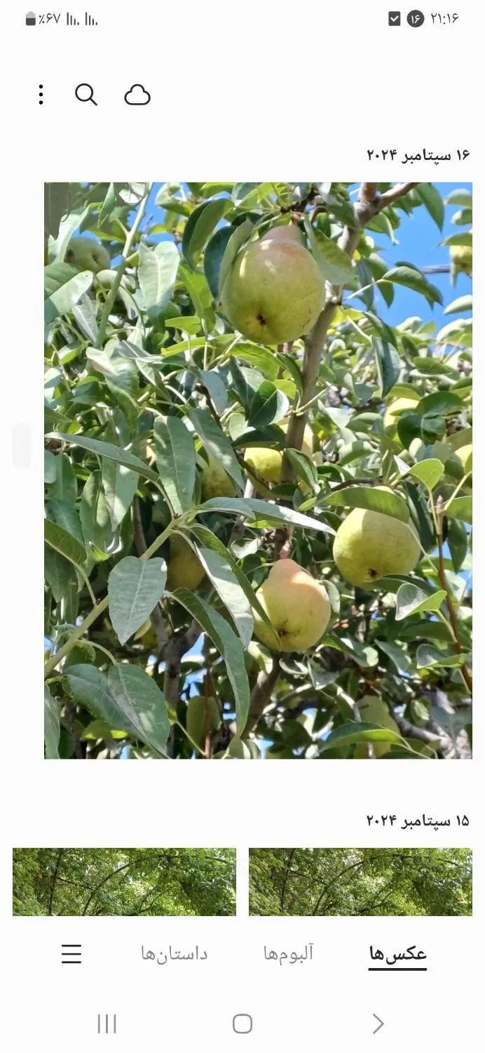 زمین با کاربری مسکونی،باغ،تجاری(تخفیف فوقالعاده)