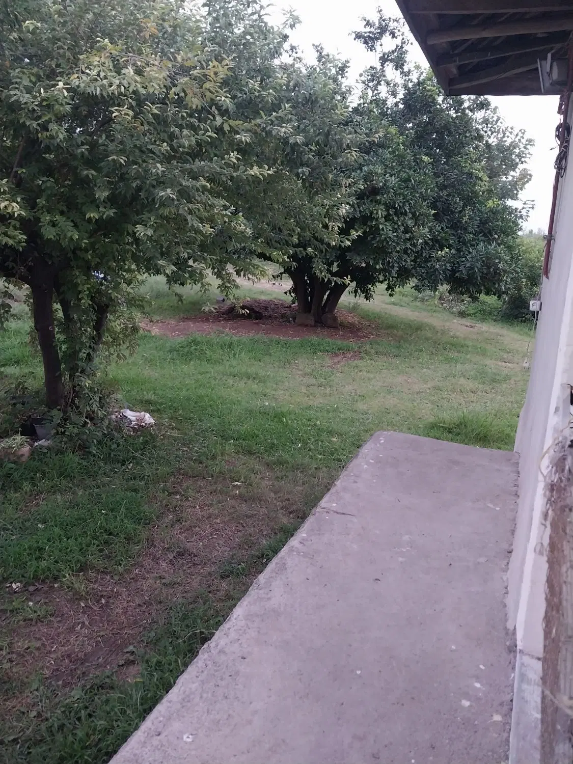 فروش زمین وخانه