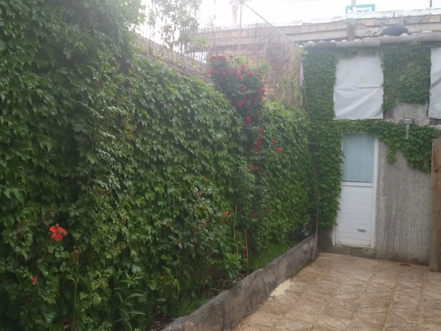 ویلایی ۲۴متری کرناچی