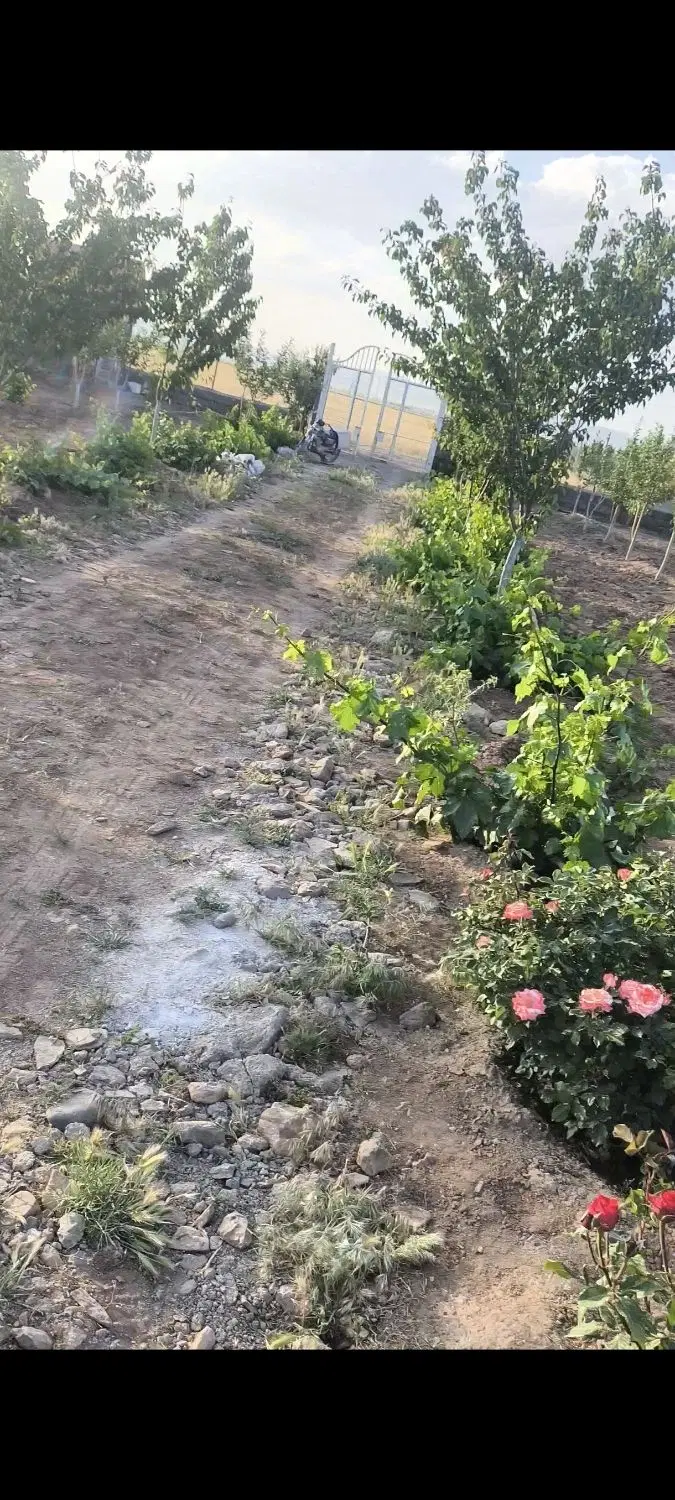 باغ