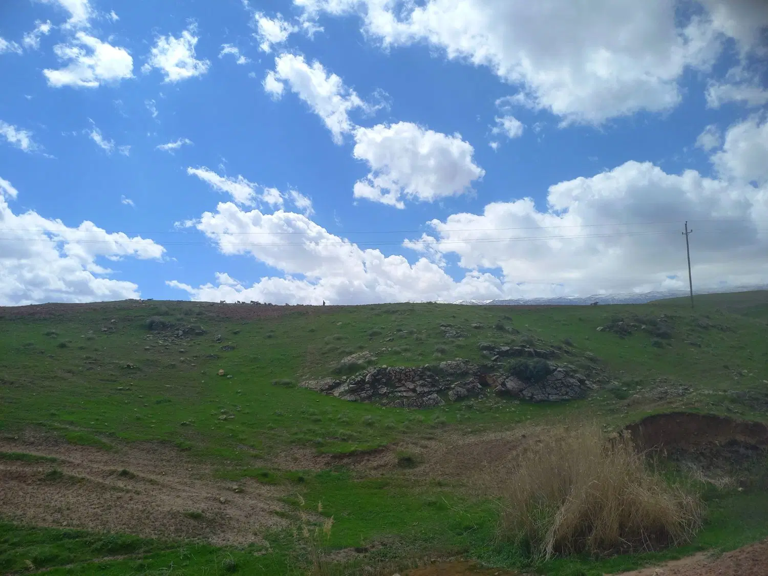 ۱۵۶۰ متر زمین کرج سلطان اباد