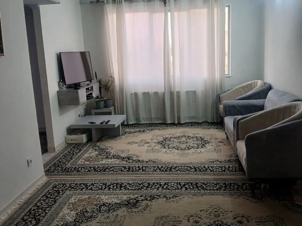 زیتون دو‌خواب