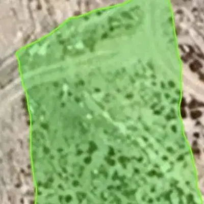 زمین