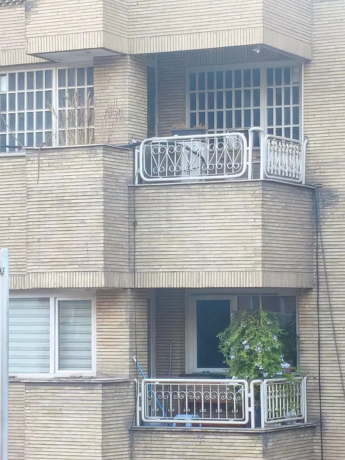 اجاره مسکونی عباس‌آباد