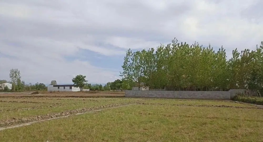 زمین با طرح هادی