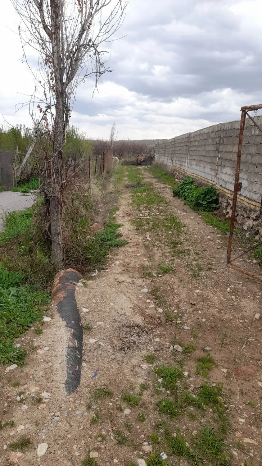زمین کشاورزی حدود۸۰۰مترشوراب محمودوند