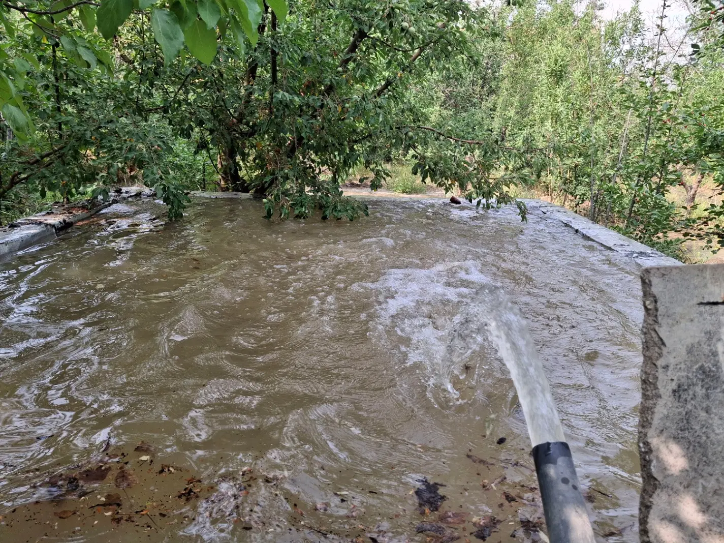 فروش باغ سنگستان همدان