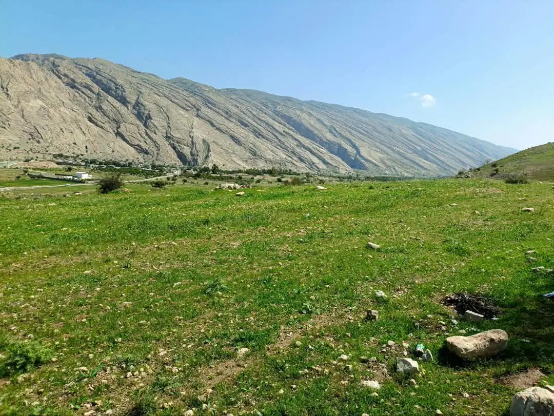یک هکتار زمین سند تک برگ