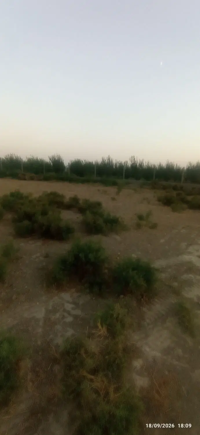 زمین کشاورزی تنکمان