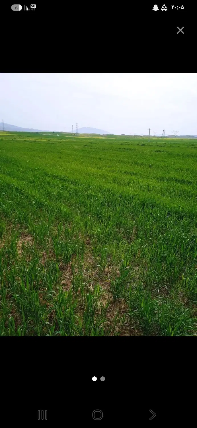 یک هکتار زمین کشاورزی  دشت اره سرابننیز