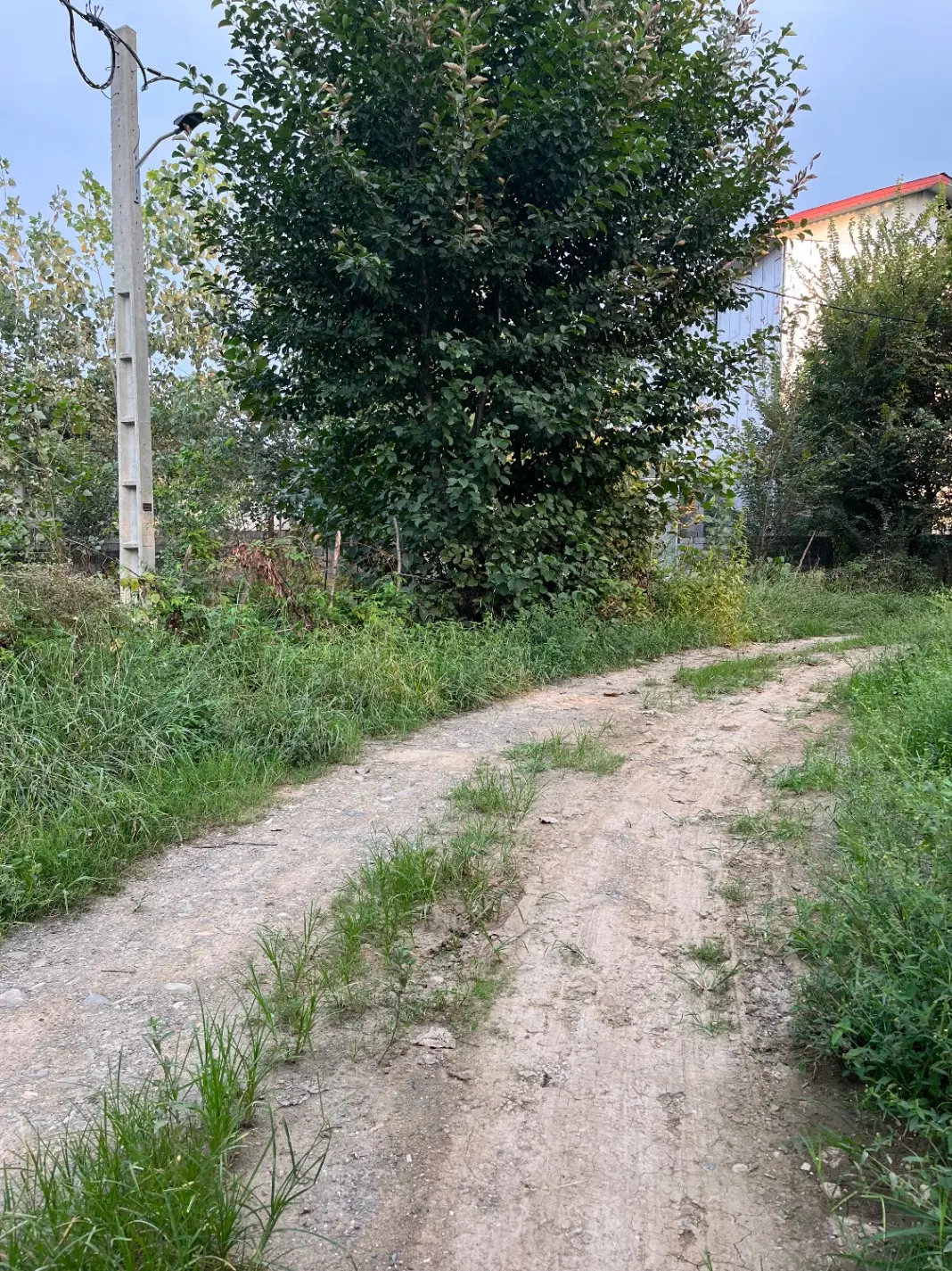 زمین مسکونی شهری