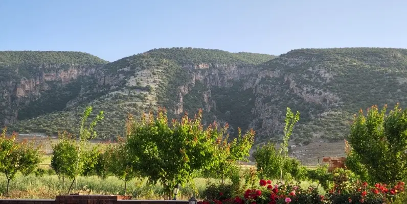 باغ ۹ ساله جاده سید عبداله بسمت سراب ایوان