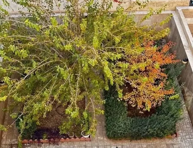 ارزنده گوهردشت ویلایی_تهاترونقدی_تجاری جنوبی
